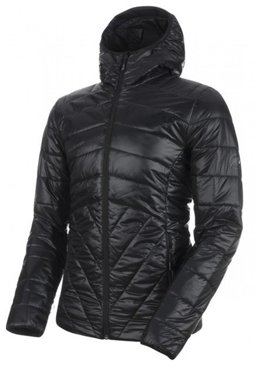 MAMMUT Rime IN Hooded Jacket - Herren