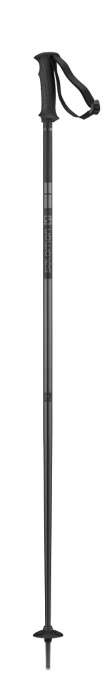 SALOMON POLES ARCTIC